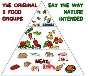 paleo food pyramid